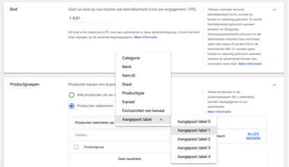 Screenshot Google Ads showcase advertentiegroep