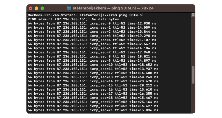 Voorbeeld Ping domeinnaam in Termal op Mac