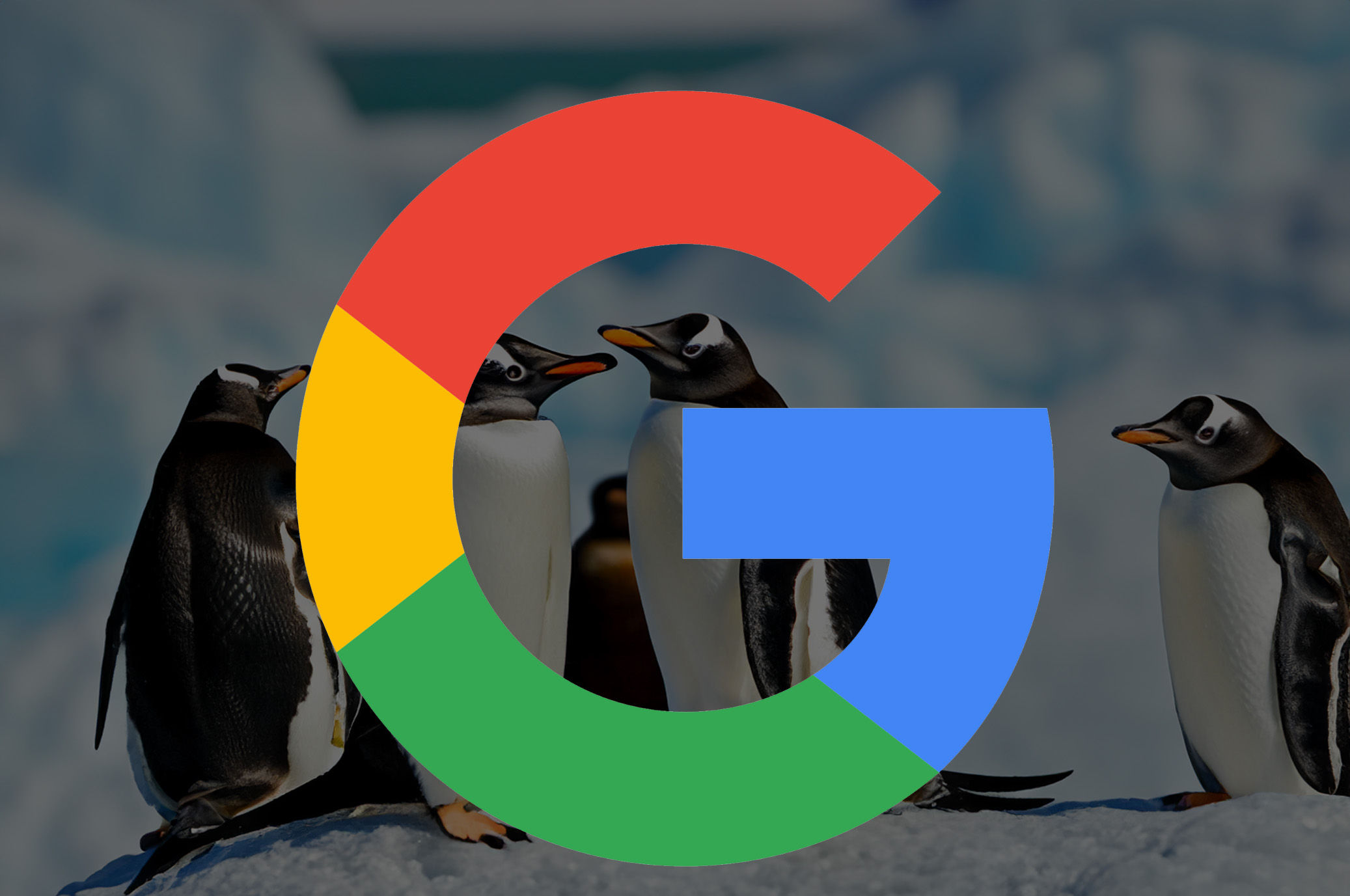 Google Penguin