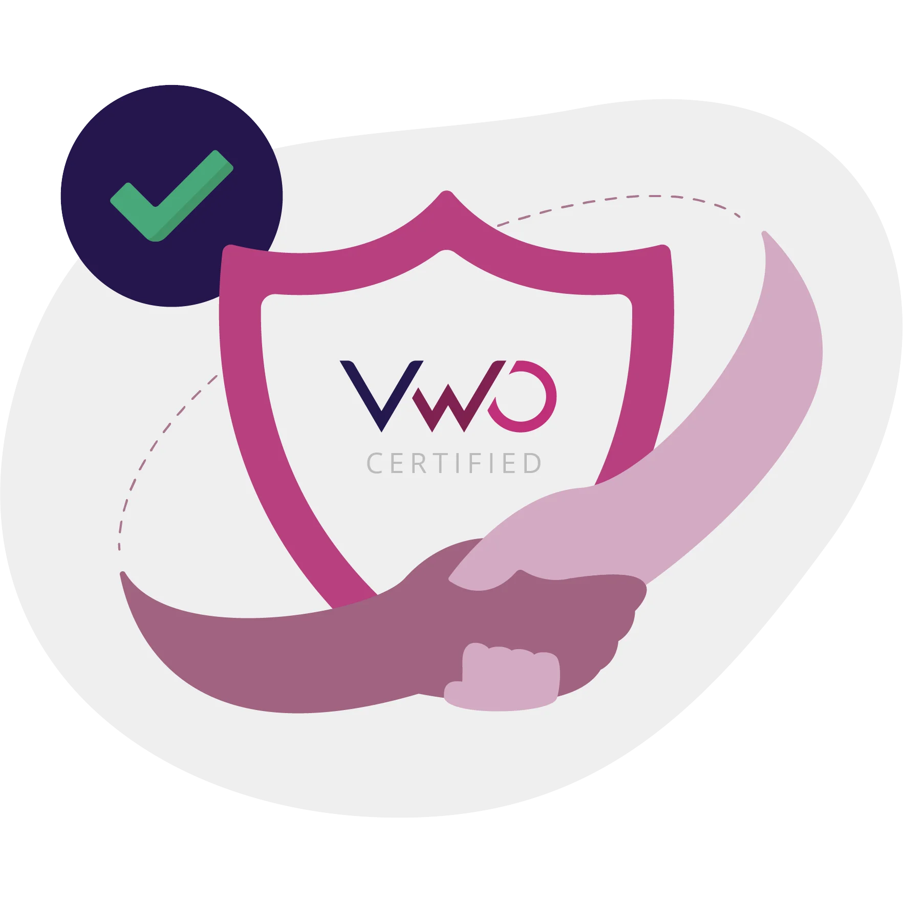 VWO certified partner