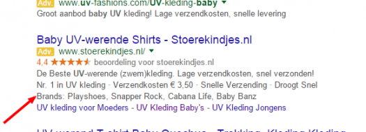 voorbeeld structured snippets voor Ads