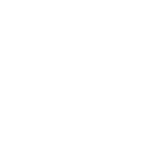 UV Smart logo wit